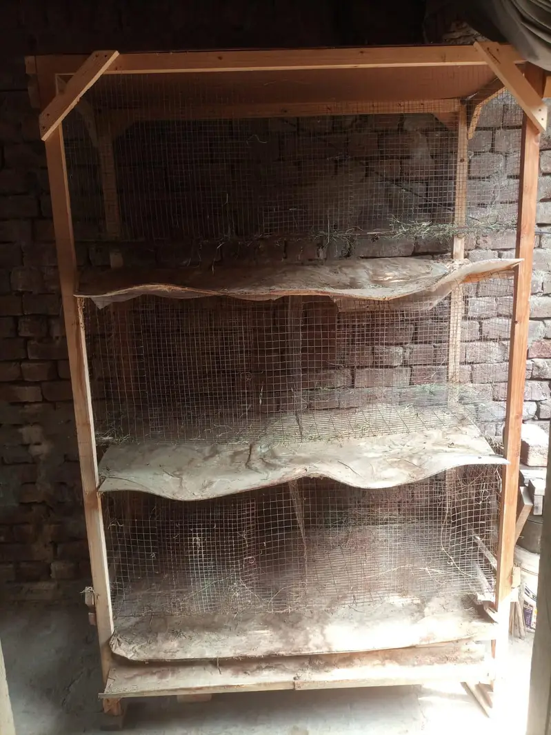 6 Foot x 4 Foot Self Cleaning Cage — photo 4