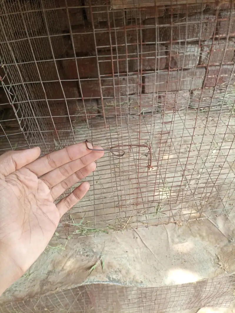 6 Foot x 4 Foot Self Cleaning Cage — photo 6