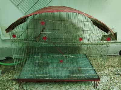 Birds Cage for Sale