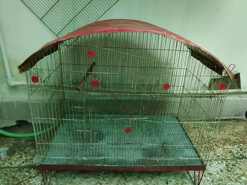 Birds Cage for Sale — photo 2