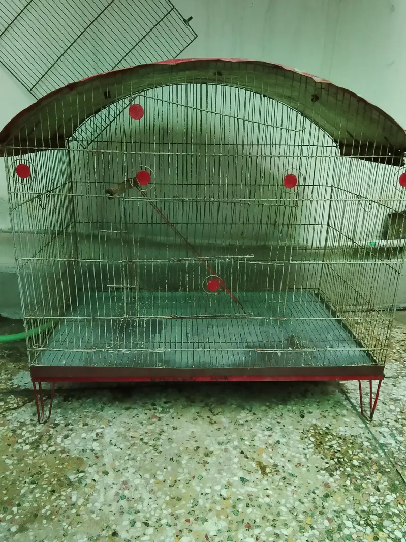 Birds Cage for Sale — photo 3