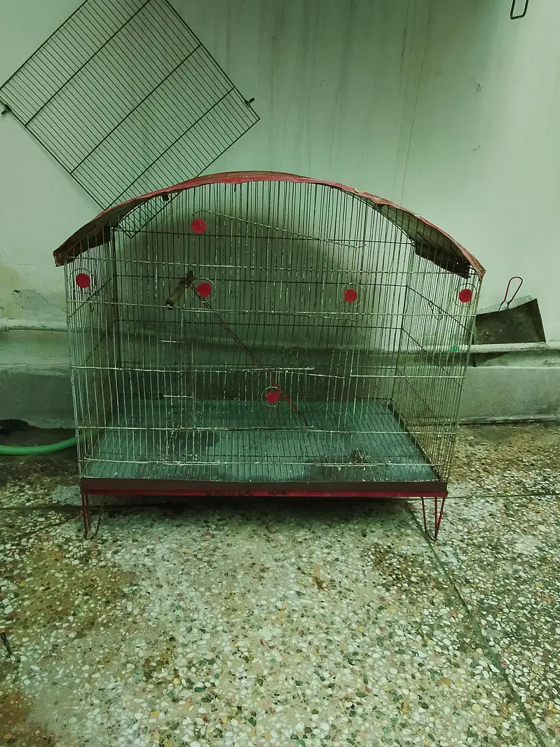 Birds Cage for Sale — photo 4