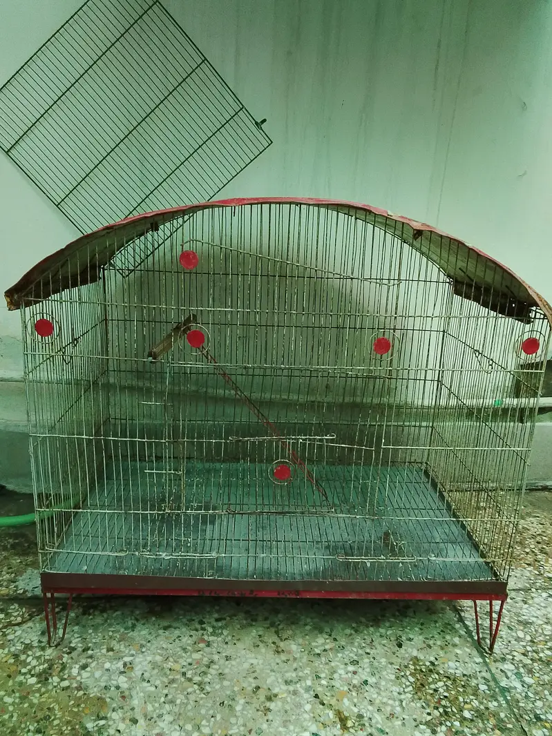 Birds Cage for Sale — photo 5