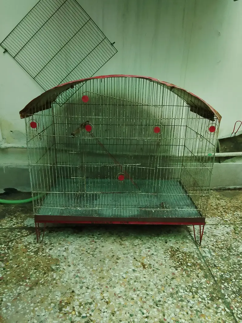 Birds Cage for Sale — photo 6