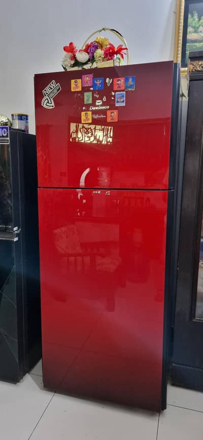 Dawlence Reflection Fridge