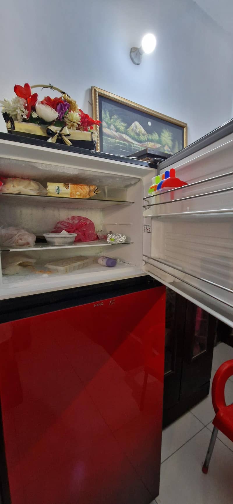 Dawlence Reflection Fridge 2