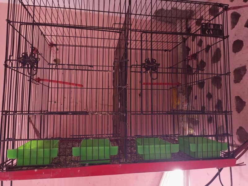 zarar cage 2 portion 0
