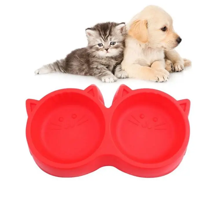 Odd Eyes White Persian Cat with Complete Accessories & Starter Kit — photo 6