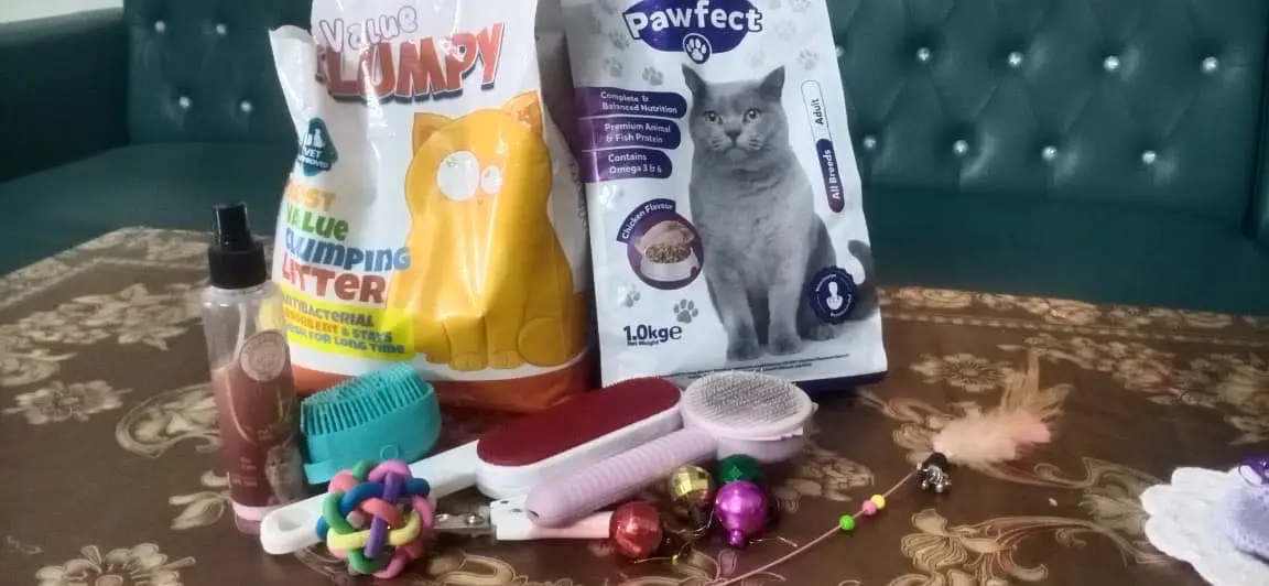 Odd Eyes White Persian Cat with Complete Accessories & Starter Kit — photo 7