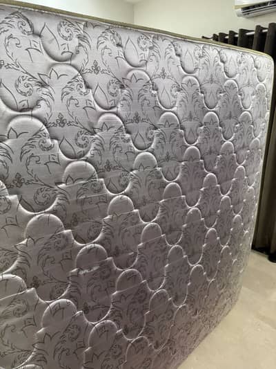 Used Master Molty spring foam