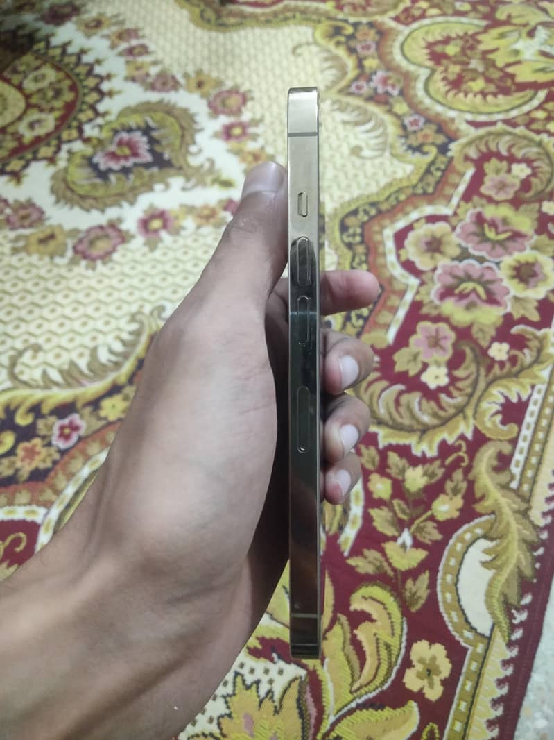 Apple iPhone 13 Pro 3