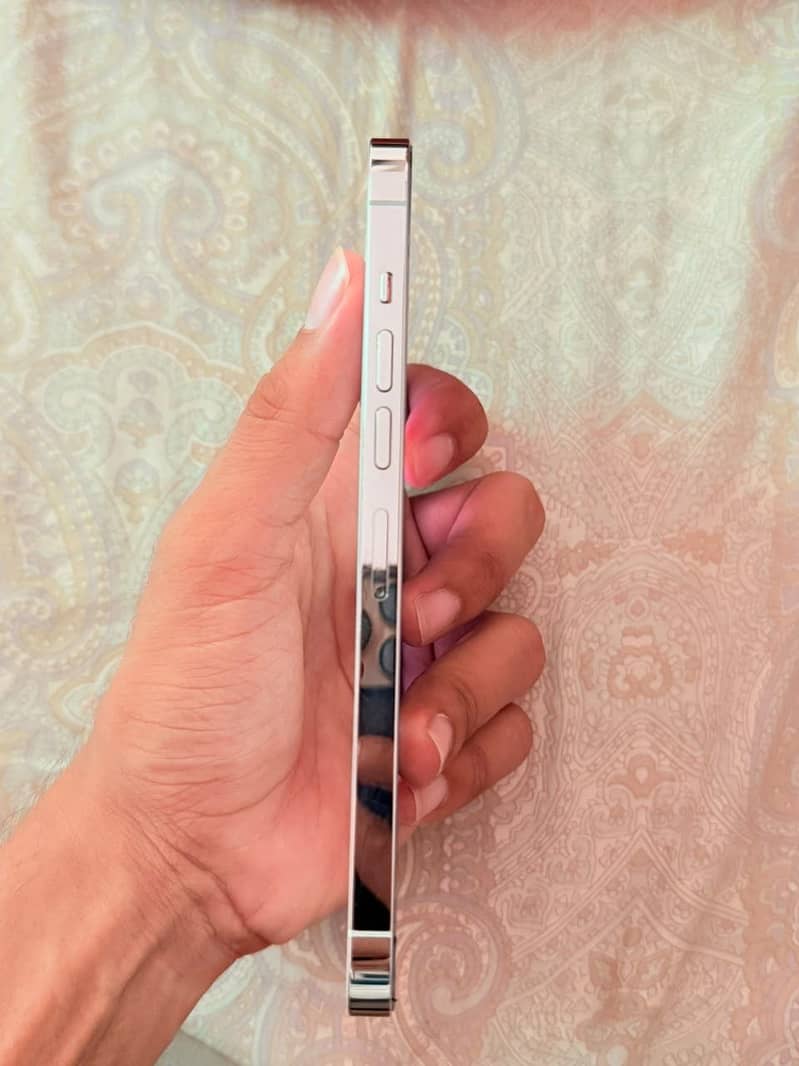 iPhone 13 Pro Max 2