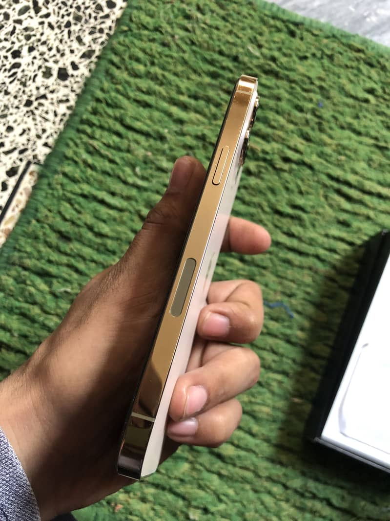 Apple iPhone 12 Pro Max 5