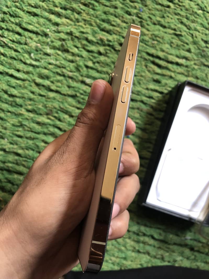 Apple iPhone 12 Pro Max 6