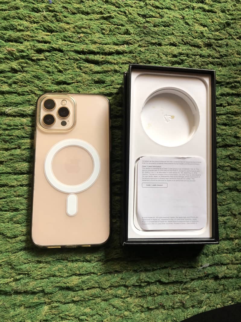 Apple iPhone 12 Pro Max 2