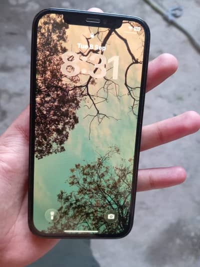 Apple iPhone 12 Pro