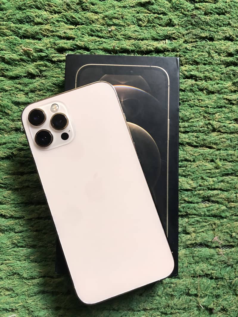 Apple iPhone 12 Pro Max 0