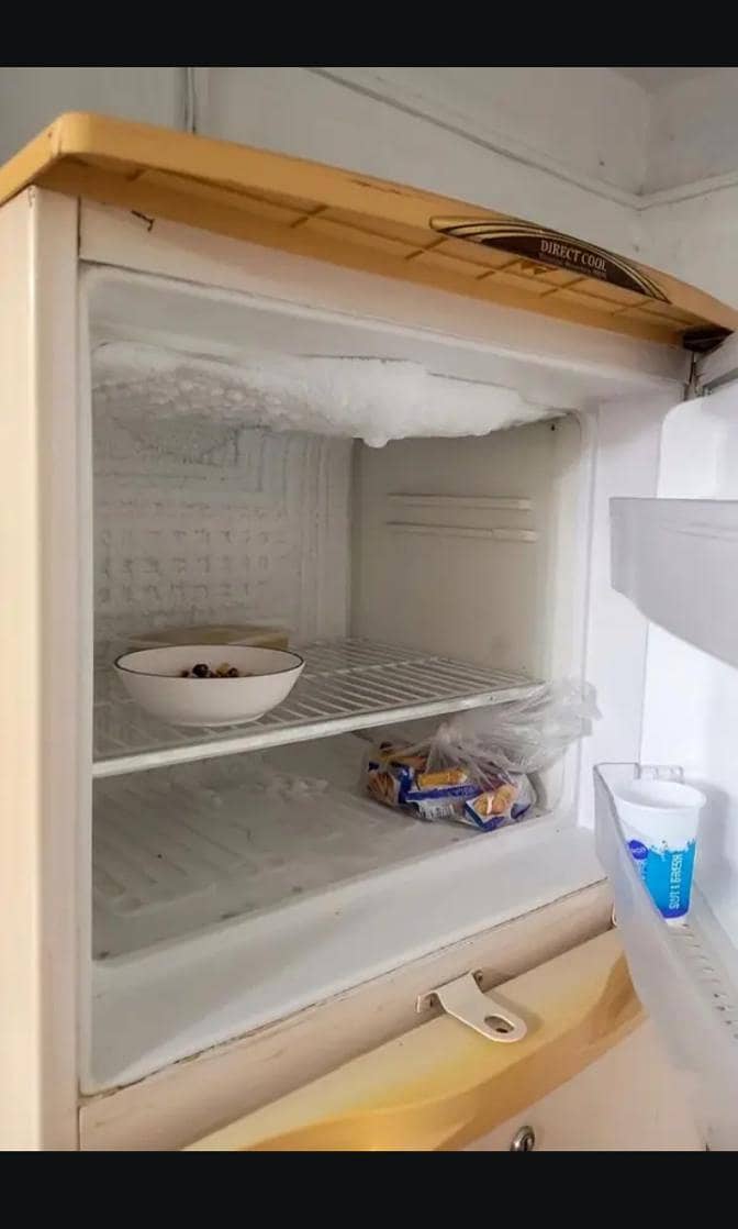 refrigerator 1