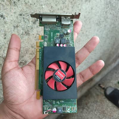 1GB Graphic Card