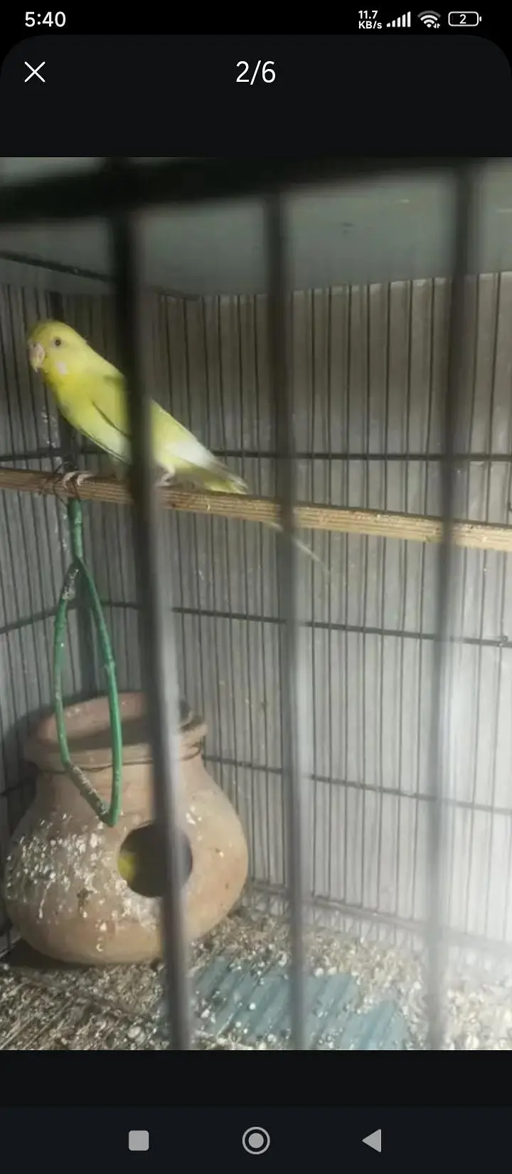 only cage for sale — photo 2