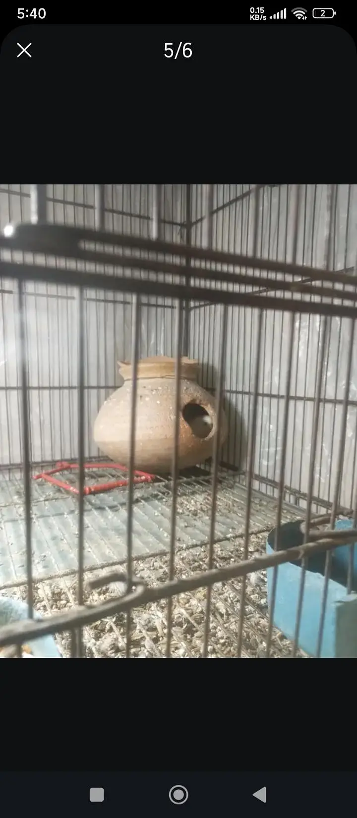only cage for sale — photo 3