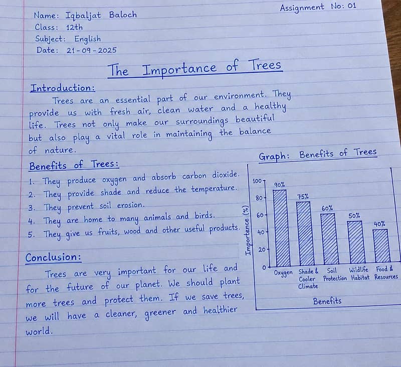 assignment content writing 6