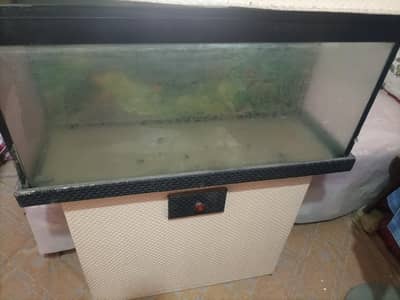 Aquarium for sale