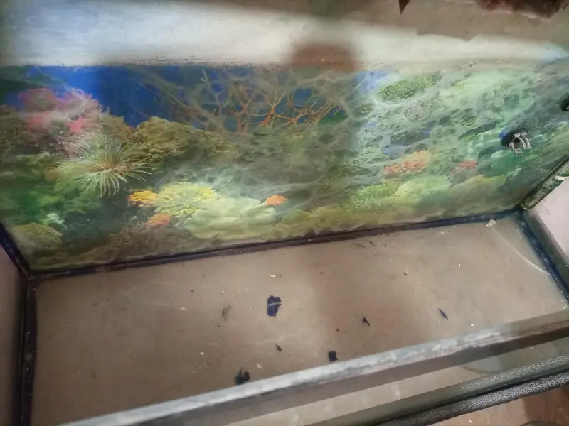 Aquarium for sale — photo 3