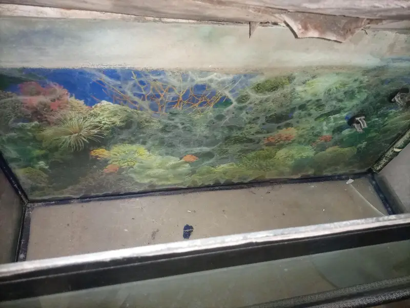 Aquarium for sale — photo 4
