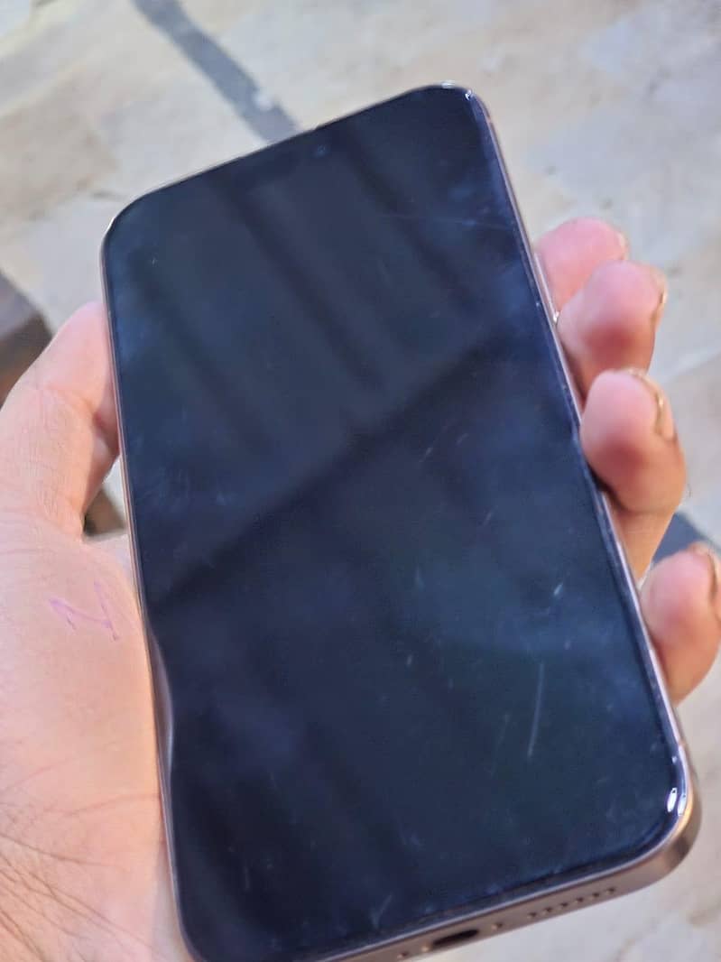 Apple iPhone 16 Pro Max 1