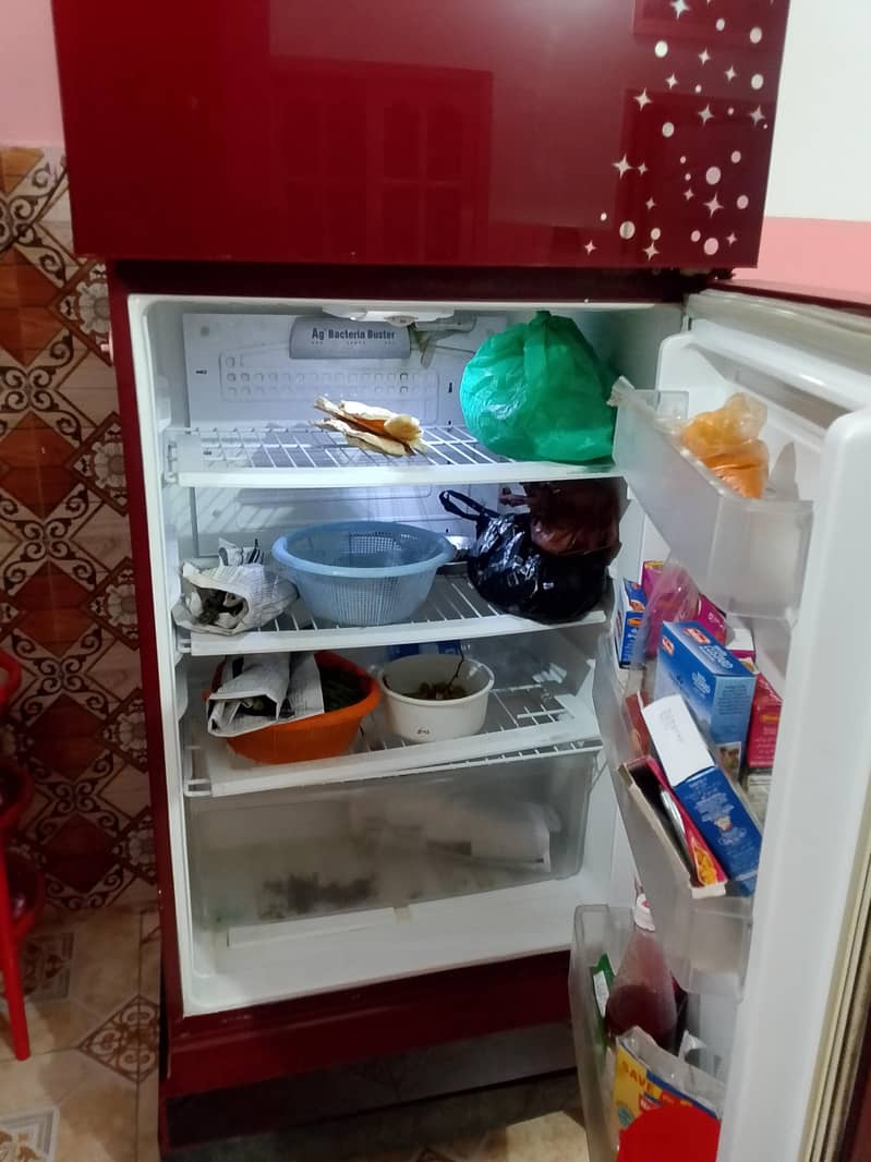 pel fridge 3