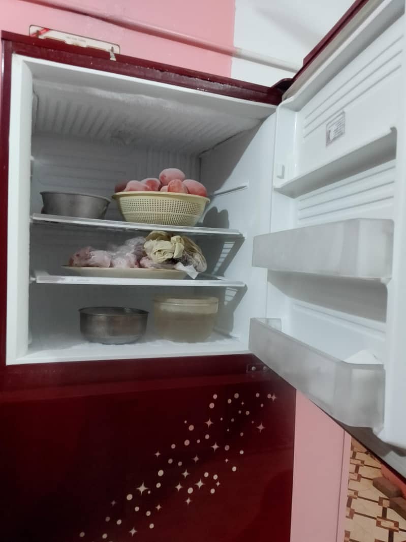 pel fridge 4