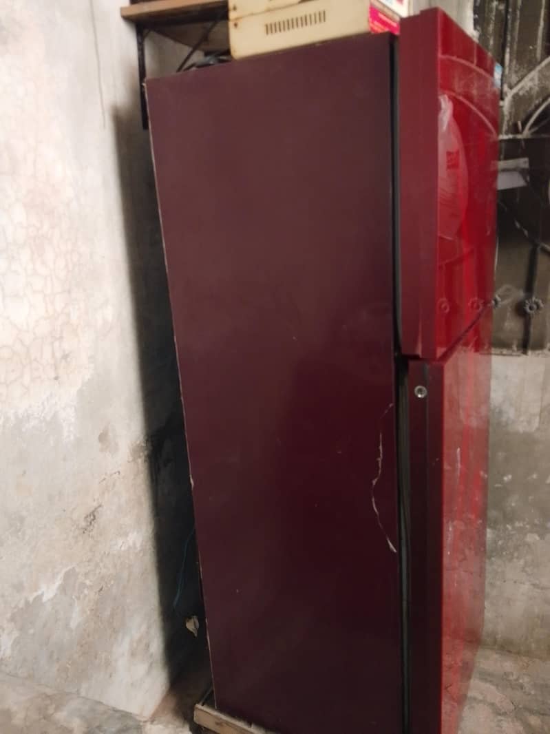 Pel fridge 1