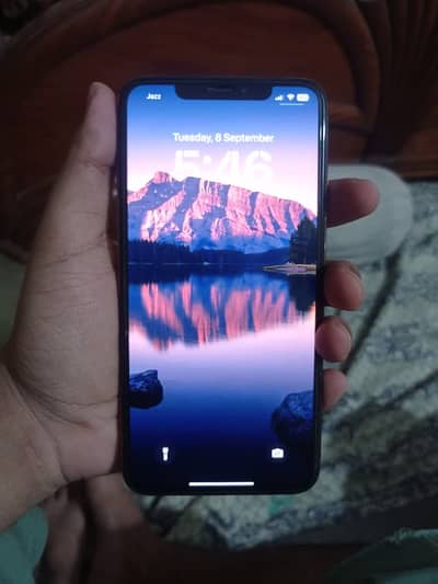 Apple iPhone XS Max