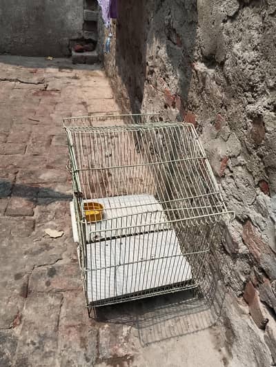 chuzoo k Liya cage