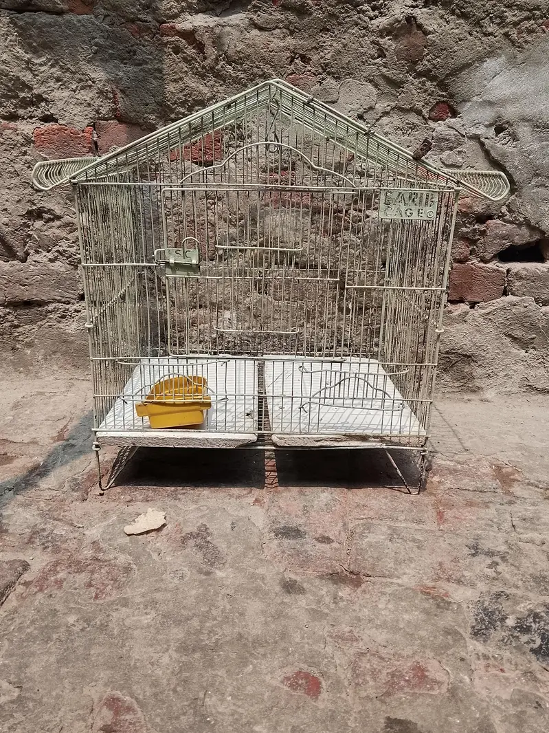chuzoo k Liya cage — photo 4
