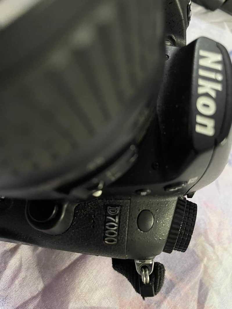 Nikon camera dslr 0
