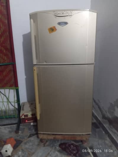 10 by 10 condition freezer