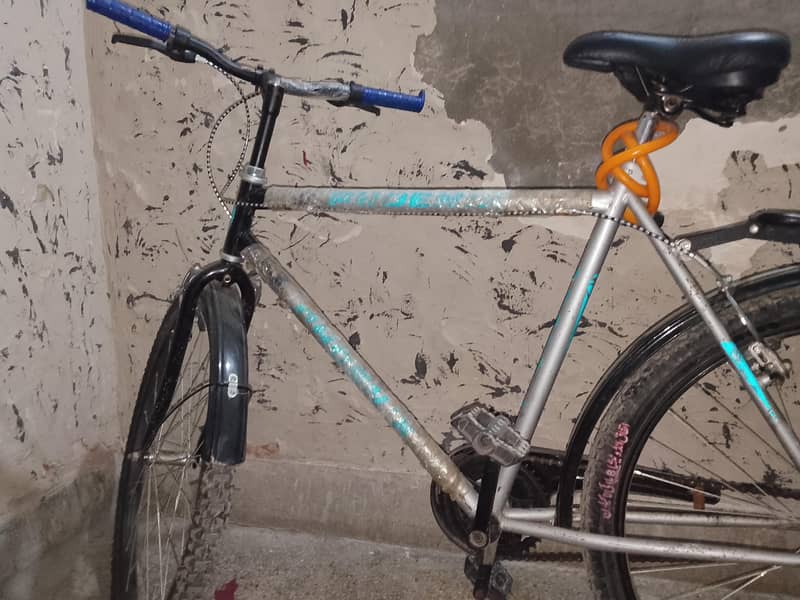 bicycle 1