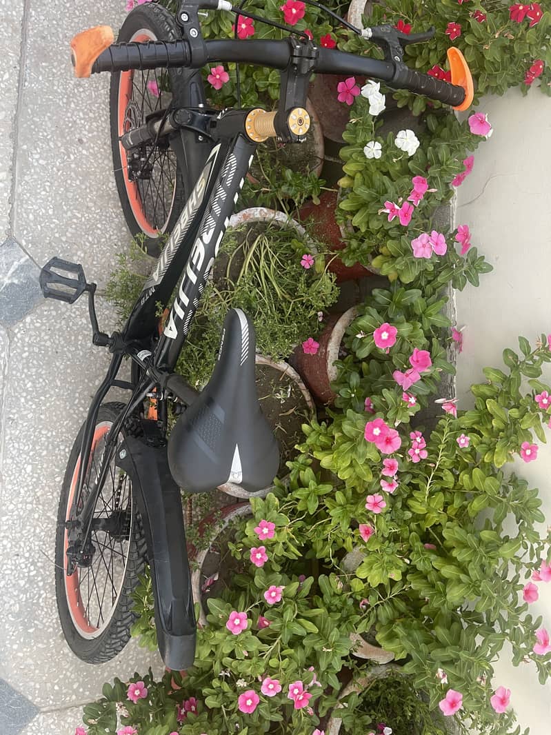 bicycle 0