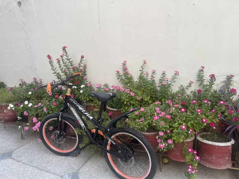 bicycle 1