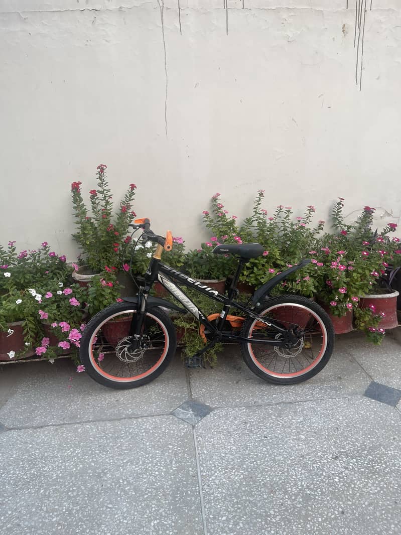 bicycle 2