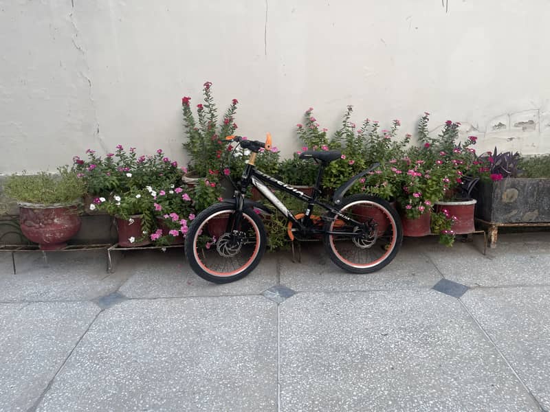 bicycle 3