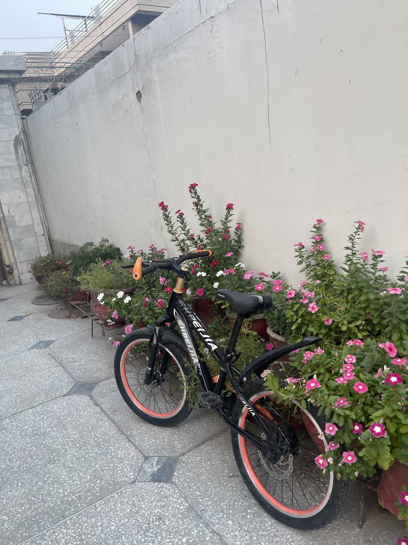 bicycle 6