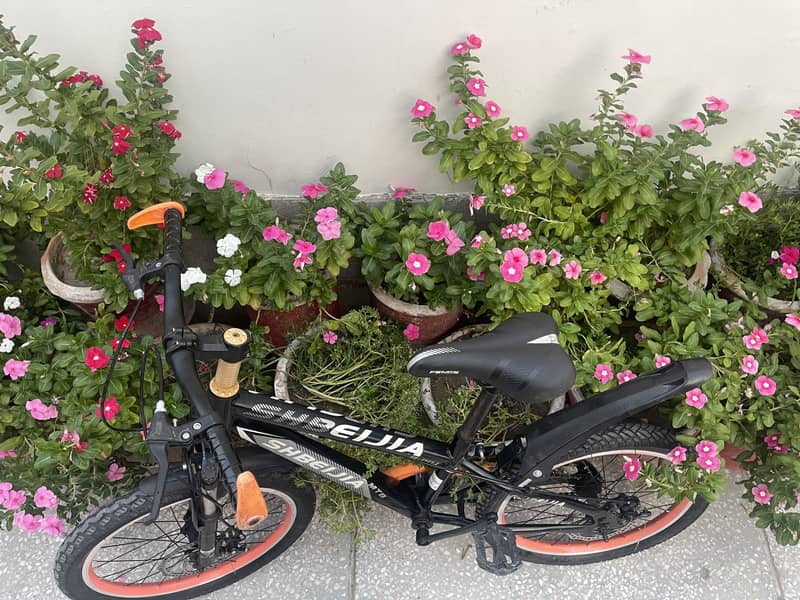 bicycle 7
