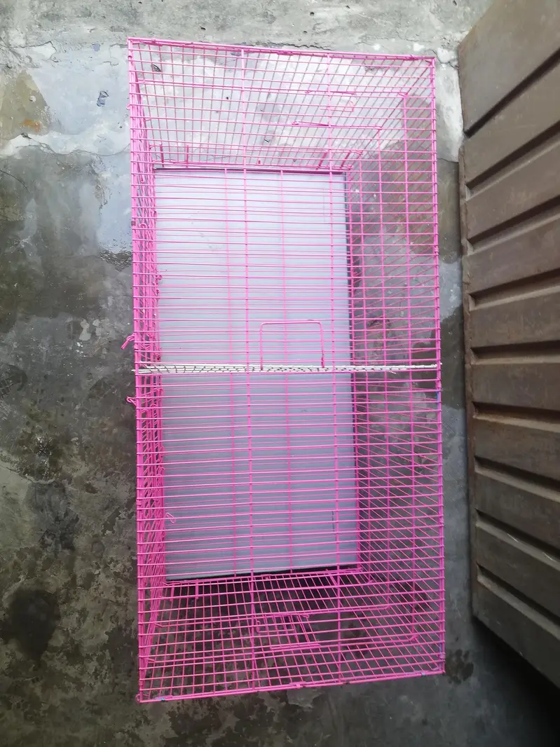 Reasonable Price For Cage® — photo 4