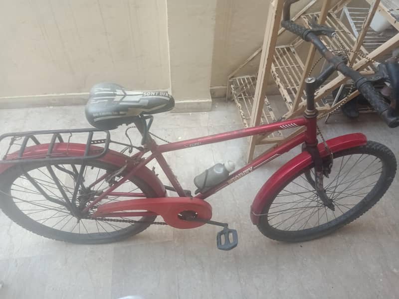 full size cycle 1