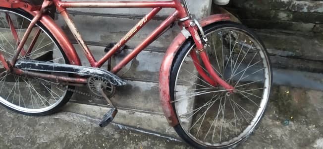 Bicycle 20"