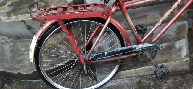 Bicycle 20"