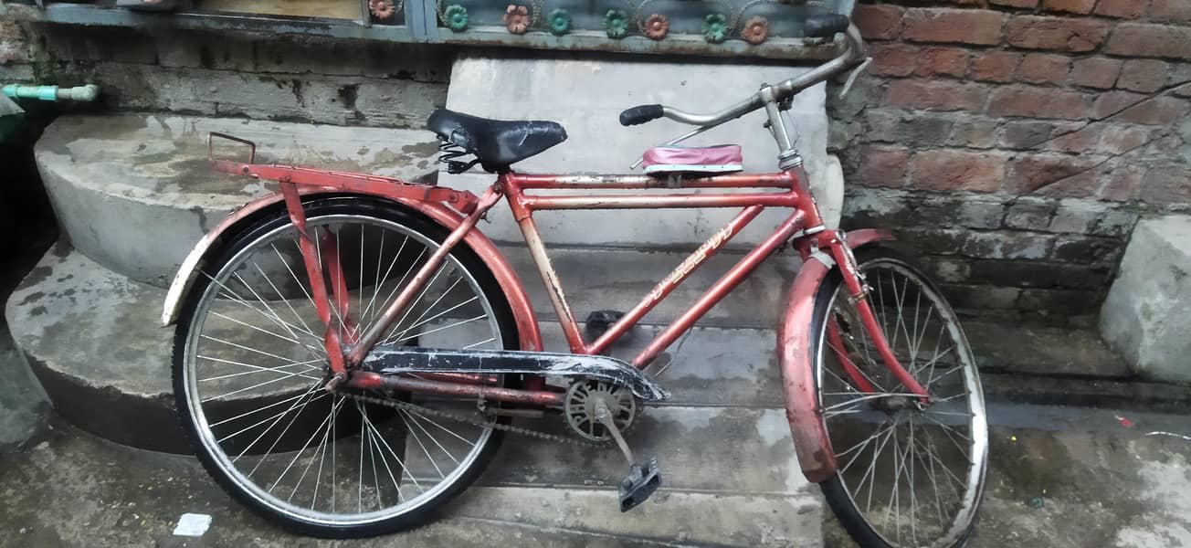 Bicycle 20" 2